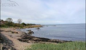 Die Sonnenschein Insel in der Ostsee